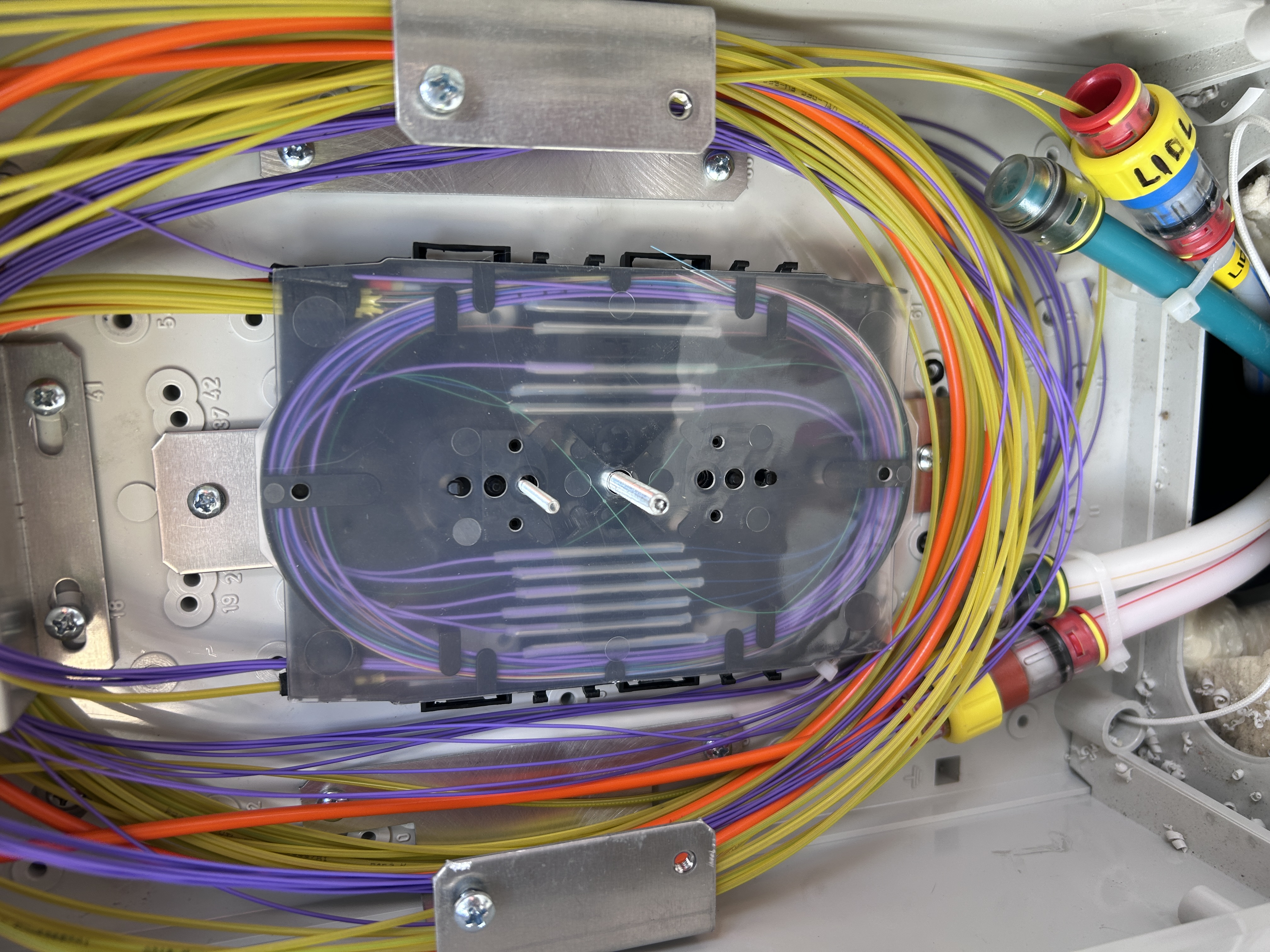 20250624_090204321_iOS